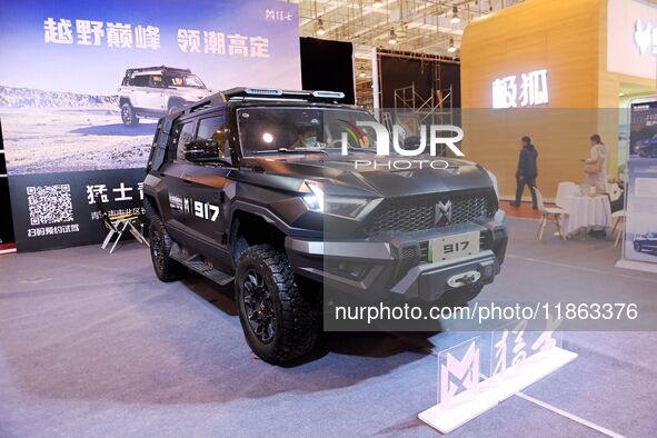 People view cars at the 16th Shandong International Auto Show in Qingdao, China, on December 13, 2024. 