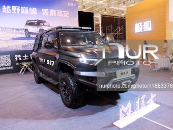 People view cars at the 16th Shandong International Auto Show in Qingdao, China, on December 13, 2024. (