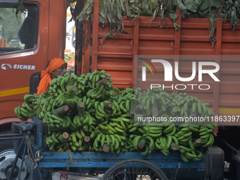 Indian workers unload bananas from a vehicle at a regulated market in Siliguri, India, on December 13, 2024. (