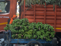 Indian workers unload bananas from a vehicle at a regulated market in Siliguri, India, on December 13, 2024. (