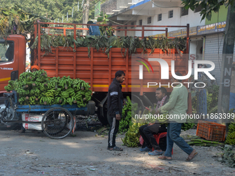 Indian workers unload bananas from a vehicle at a regulated market in Siliguri, India, on December 13, 2024. (