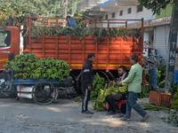 Indian workers unload bananas from a vehicle at a regulated market in Siliguri, India, on December 13, 2024. (