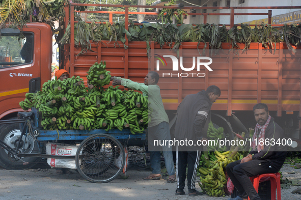 Indian workers unload bananas from a vehicle at a regulated market in Siliguri, India, on December 13, 2024. 