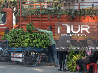 Indian workers unload bananas from a vehicle at a regulated market in Siliguri, India, on December 13, 2024. (