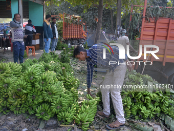 Indian workers unload bananas from a vehicle at a regulated market in Siliguri, India, on December 13, 2024. (