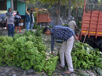 Indian workers unload bananas from a vehicle at a regulated market in Siliguri, India, on December 13, 2024. (