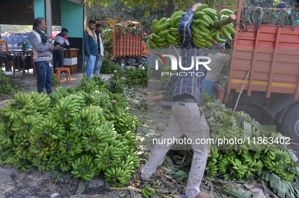 Indian workers unload bananas from a vehicle at a regulated market in Siliguri, India, on December 13, 2024. 