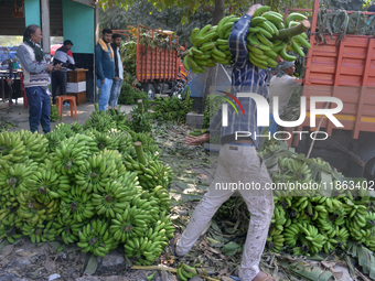 Indian workers unload bananas from a vehicle at a regulated market in Siliguri, India, on December 13, 2024. (