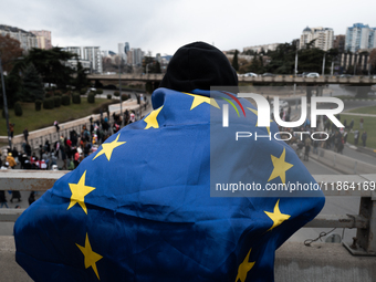 A man wears a European flag as private sector workers, students, and protesters take to the streets for a demonstration against the Georgian...