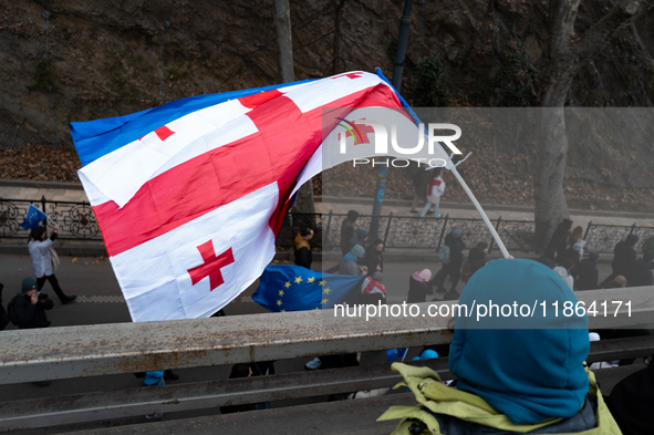 A protestor waves a European Georgian flag while private sector workers, students, and other protesters take to the streets for a demonstrat...