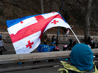 A protestor waves a European Georgian flag while private sector workers, students, and other protesters take to the streets for a demonstrat...