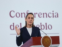 Mexico's President Claudia Sheinbaum speaks during a briefing conference about the reform against vapers and the integral project for the re...