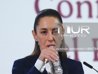 Mexico's President Claudia Sheinbaum speaks during a briefing conference about the reform against vapers and the integral project for the re...