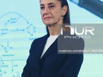 Mexico's President Claudia Sheinbaum speaks during a briefing conference about the reform against vapers and the integral project for the re...