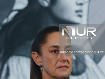 Mexico's President Claudia Sheinbaum speaks during a briefing conference about the reform against vapers and the integral project for the re...