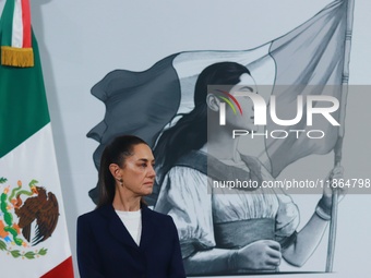 Mexico's President Claudia Sheinbaum speaks during a briefing conference about the reform against vapers and the integral project for the re...