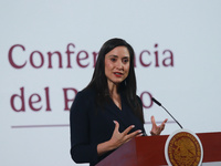 Minister of Culture Claudia Curiel de Icaza speaks during a briefing conference about the integral project for the renovation of arts and cu...