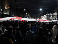 Anti-government protesters demonstrate against the Georgian government's postponement of European Union accession talks until 2028, in Tbili...