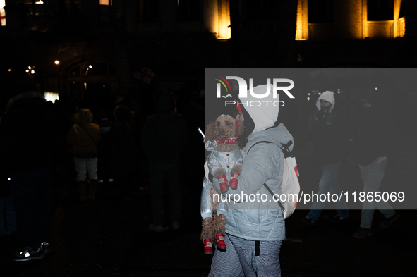 An anti-government protester holds a dog during a demonstration against the Georgian government's postponement of European Union accession t...