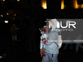 An anti-government protester holds a dog during a demonstration against the Georgian government's postponement of European Union accession t...