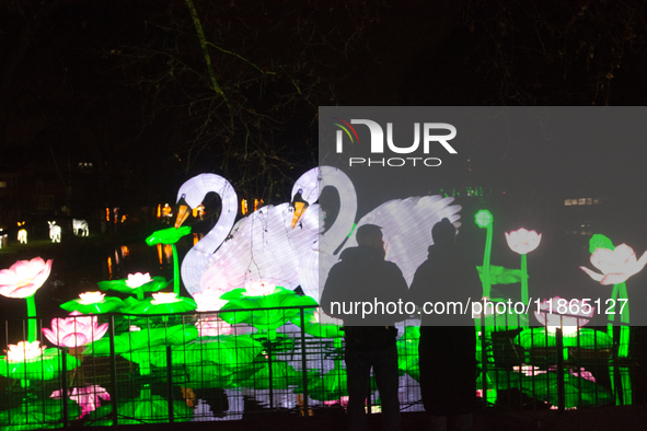 A general view of an illuminated installation is seen inside the Cologne Zoo in Cologne, Germany, on December 13, 2024, during the opening o...