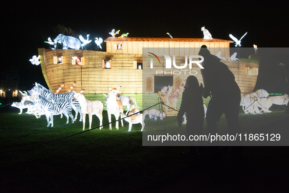 A general view of an illuminated installation is seen inside the Cologne Zoo in Cologne, Germany, on December 13, 2024, during the opening o...