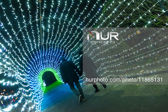 A general view of an illuminated installation is seen inside the Cologne Zoo in Cologne, Germany, on December 13, 2024, during the opening o...