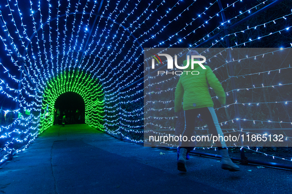 A general view of an illuminated installation is seen inside the Cologne Zoo in Cologne, Germany, on December 13, 2024, during the opening o...