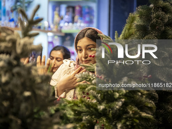 A young Iranian woman stands next to a Christmas tree during Christmas shopping in downtown Tehran, Iran, on December 13, 2024. Iranian-Chri...