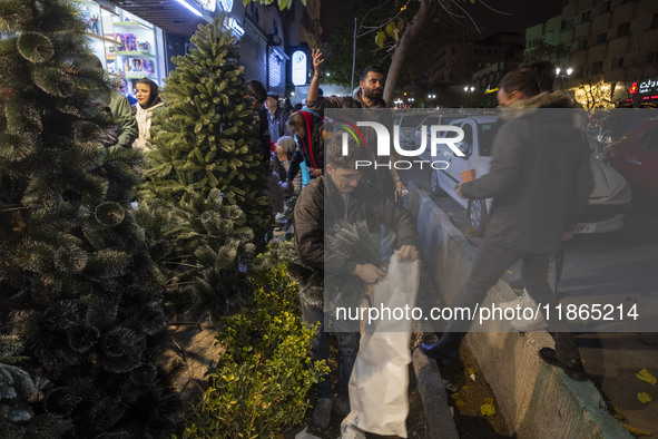 A worker packs a Christmas tree for a client (not pictured) during Christmas shopping in downtown Tehran, Iran, on December 13, 2024. Irania...