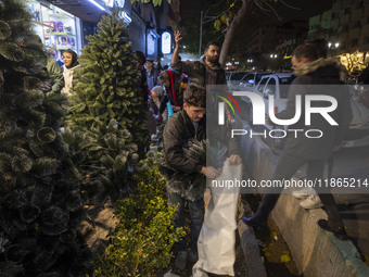 A worker packs a Christmas tree for a client (not pictured) during Christmas shopping in downtown Tehran, Iran, on December 13, 2024. Irania...