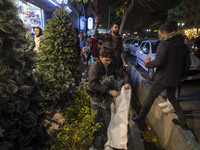 A worker packs a Christmas tree for a client (not pictured) during Christmas shopping in downtown Tehran, Iran, on December 13, 2024. Irania...