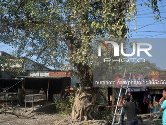 Workers cut trees as they work on road widening for four-lane construction in Siliguri, India, on December 14, 2024. (