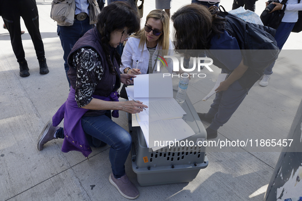 Activists sign documents to receive dogs that are rescued from a shelter in Mexico City, Mexico, on December 13, 2024, after 17 days of unce...