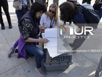 Activists sign documents to receive dogs that are rescued from a shelter in Mexico City, Mexico, on December 13, 2024, after 17 days of unce...