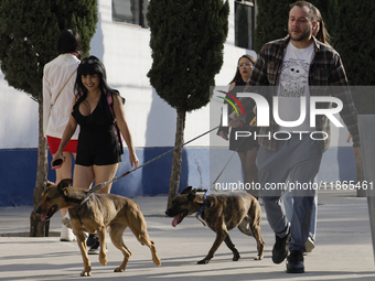 Activists receive dogs that are rescued from a shelter in Mexico City, Mexico, on December 13, 2024, after 17 days of uncertainty. The capit...