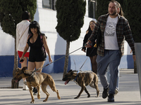 Activists receive dogs that are rescued from a shelter in Mexico City, Mexico, on December 13, 2024, after 17 days of uncertainty. The capit...