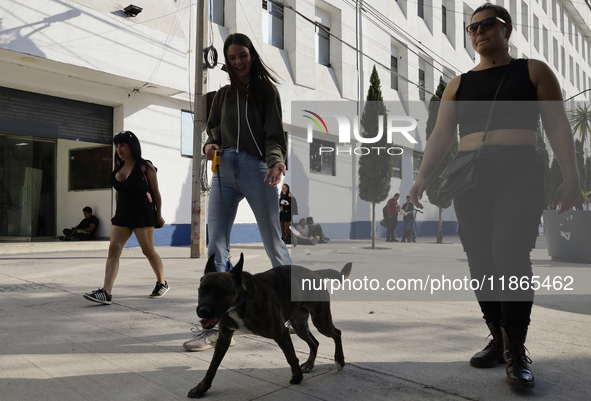 Activists receive dogs that are rescued from a shelter in Mexico City, Mexico, on December 13, 2024, after 17 days of uncertainty. The capit...