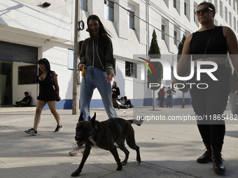 Activists receive dogs that are rescued from a shelter in Mexico City, Mexico, on December 13, 2024, after 17 days of uncertainty. The capit...