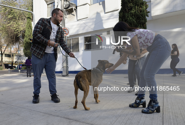 Activists receive dogs that are rescued from a shelter in Mexico City, Mexico, on December 13, 2024, after 17 days of uncertainty. The capit...