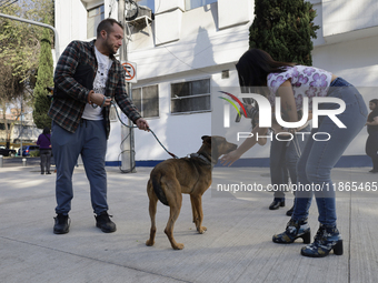 Activists receive dogs that are rescued from a shelter in Mexico City, Mexico, on December 13, 2024, after 17 days of uncertainty. The capit...