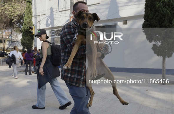 Activists receive dogs that are rescued from a shelter in Mexico City, Mexico, on December 13, 2024, after 17 days of uncertainty. The capit...