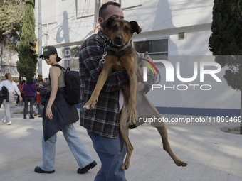 Activists receive dogs that are rescued from a shelter in Mexico City, Mexico, on December 13, 2024, after 17 days of uncertainty. The capit...