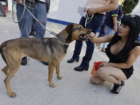 Activists receive dogs that are rescued from a shelter in Mexico City, Mexico, on December 13, 2024, after 17 days of uncertainty. The capit...