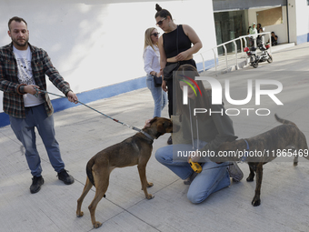 Activists receive dogs that are rescued from a shelter in Mexico City, Mexico, on December 13, 2024, after 17 days of uncertainty. The capit...