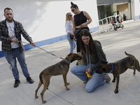 Activists receive dogs that are rescued from a shelter in Mexico City, Mexico, on December 13, 2024, after 17 days of uncertainty. The capit...