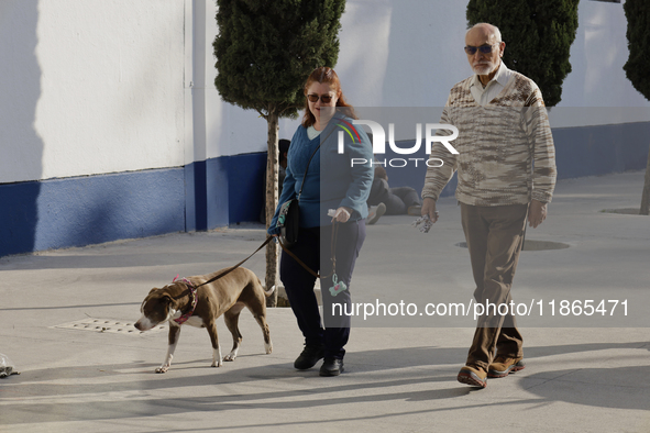 Activists receive dogs that are rescued from a shelter in Mexico City, Mexico, on December 13, 2024, after 17 days of uncertainty. The capit...