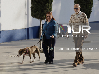 Activists receive dogs that are rescued from a shelter in Mexico City, Mexico, on December 13, 2024, after 17 days of uncertainty. The capit...