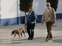 Activists receive dogs that are rescued from a shelter in Mexico City, Mexico, on December 13, 2024, after 17 days of uncertainty. The capit...