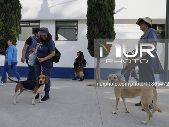 Activists receive dogs that are rescued from a shelter in Mexico City, Mexico, on December 13, 2024, after 17 days of uncertainty. The capit...